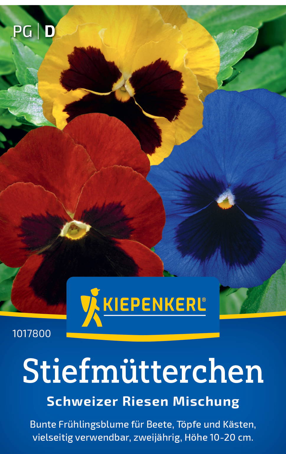 Bunte Gnadenmischung von Stiefmütterchen in rot, gelb und blau mit grünen Blättern.