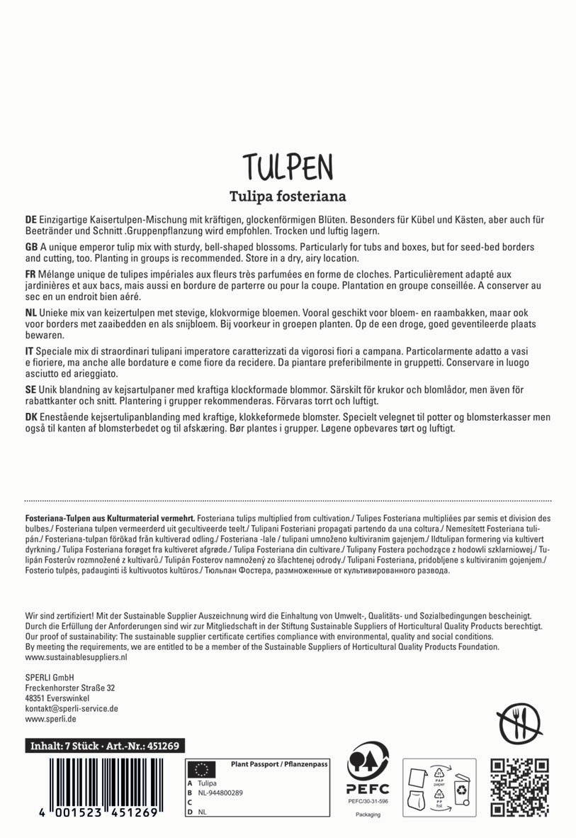 Text auf dem Bild: "Tulpen, Tulipa fosteriana, Beschreibung in mehreren Sprachen"