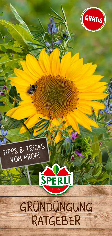 Gr&uuml;nd&uuml;ngung-Ratgeber