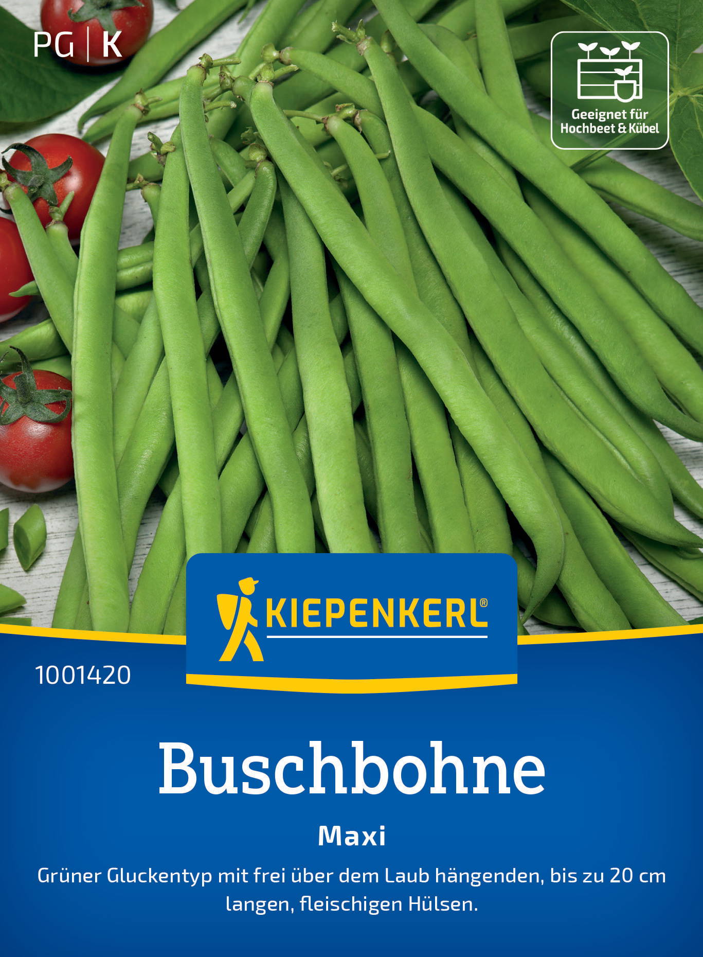 Buschbohnensamen Maxi