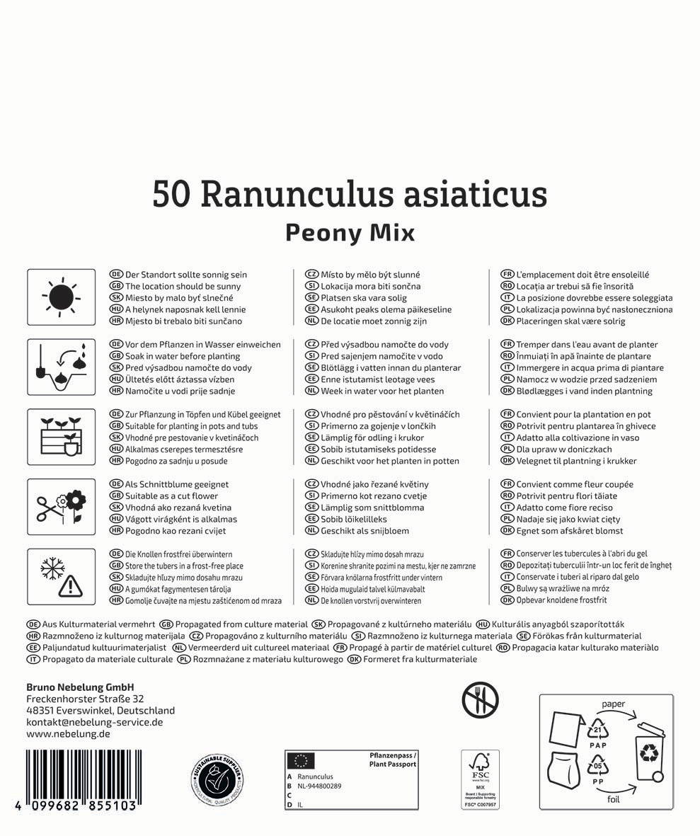 Packung mit 50 Ranunculus asiaticus Peony Mix Blumen, Beschreibung in mehreren Sprachen, Symbolik für Versand, Herstellerinformationen.