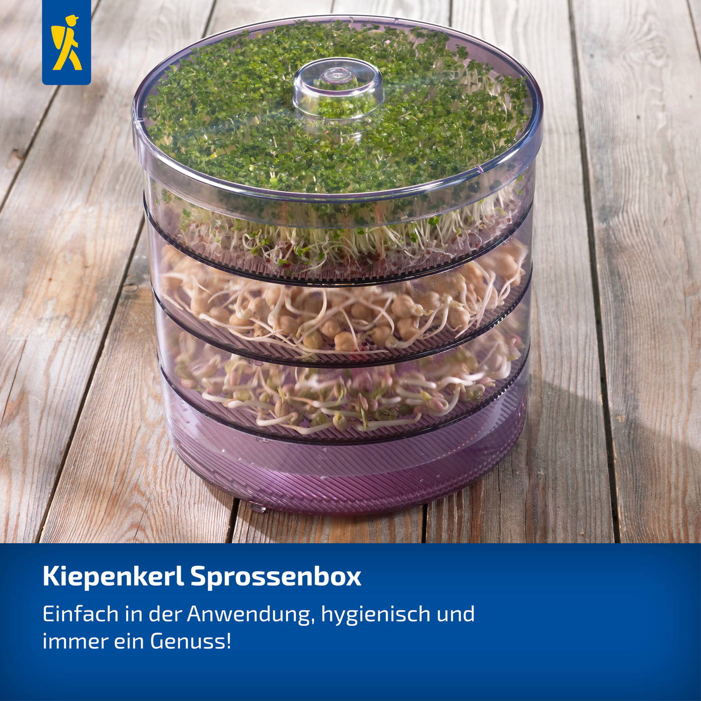Kiepenkerl Sprossenbox mit grünen, braunen und weißen Sprossen auf Holz.
