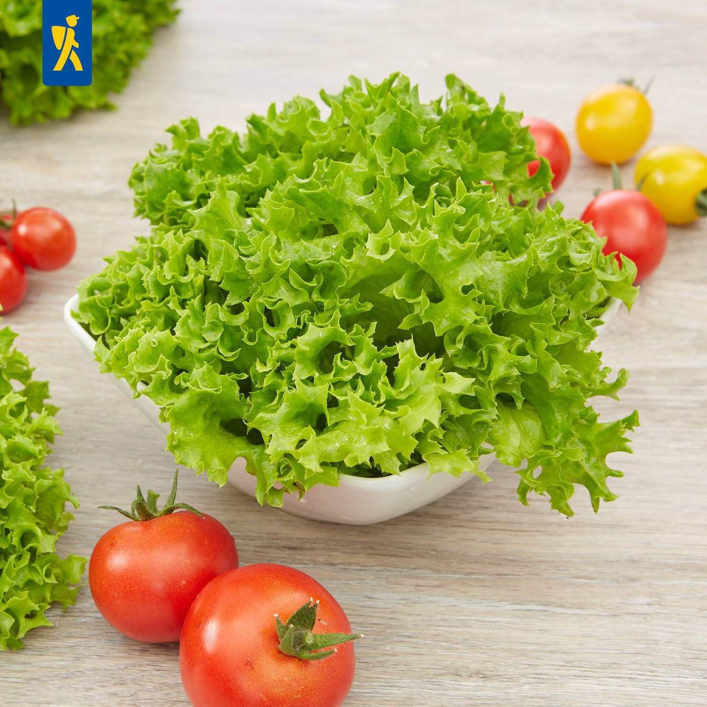 Grüner, gezackter Blattsalat in weißer Schüssel auf Holztisch, rund um rote und gelbe Tomaten.