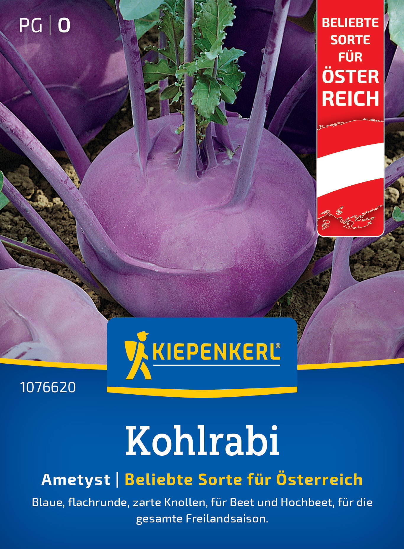 Kohlrabisamen, Ametyst, F1