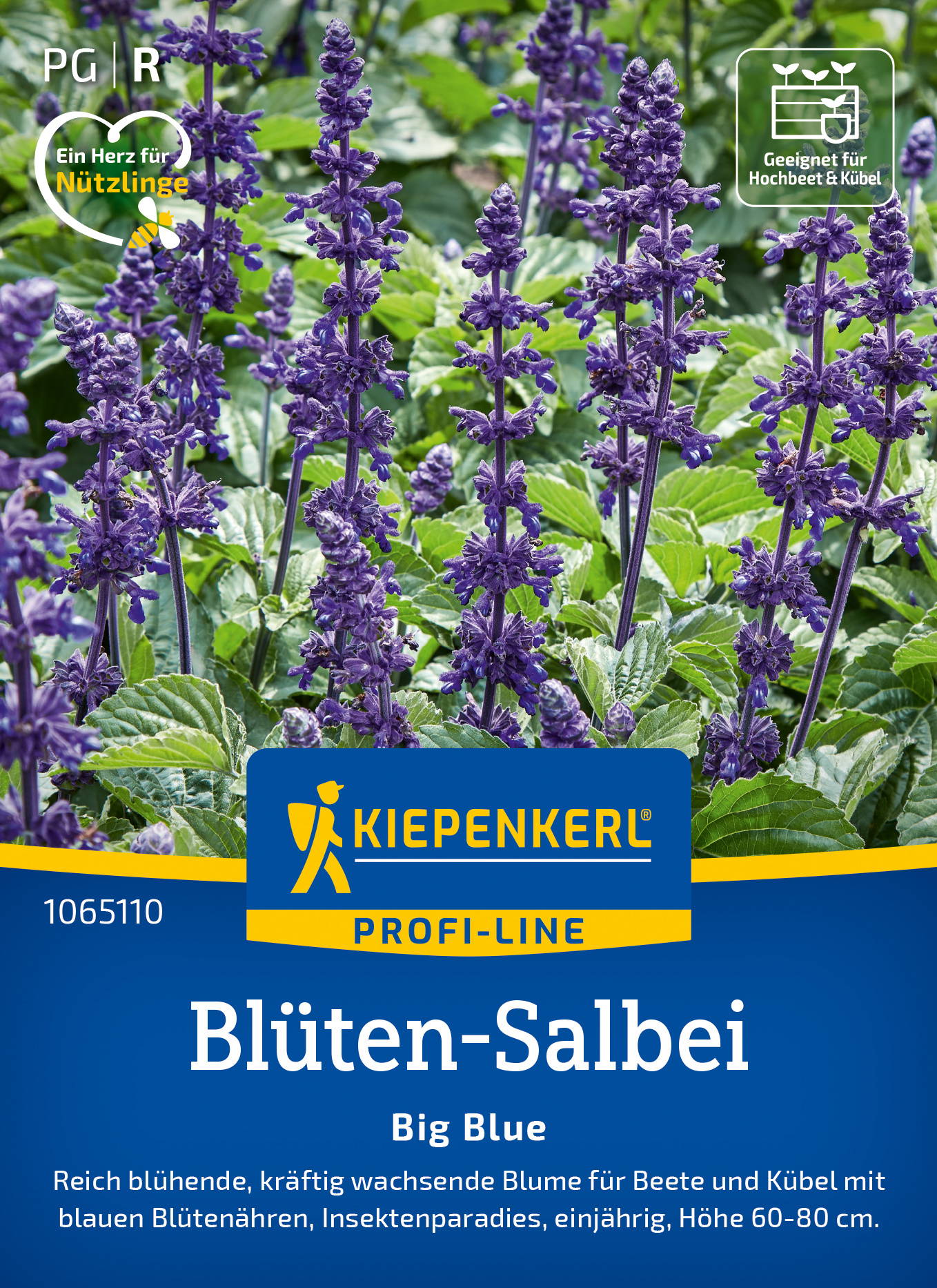 Blüten-Salbeisamen Big Blue, F1
