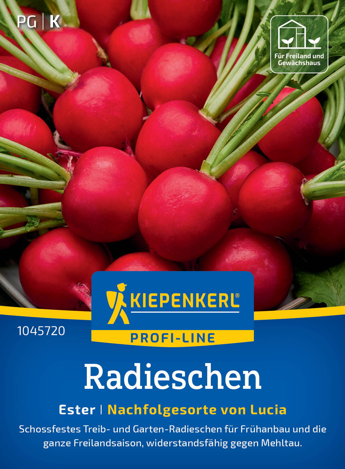 Radieschen mit grünen Stielen auf der Verpackung, Logo und Text auf blauer Etikette.