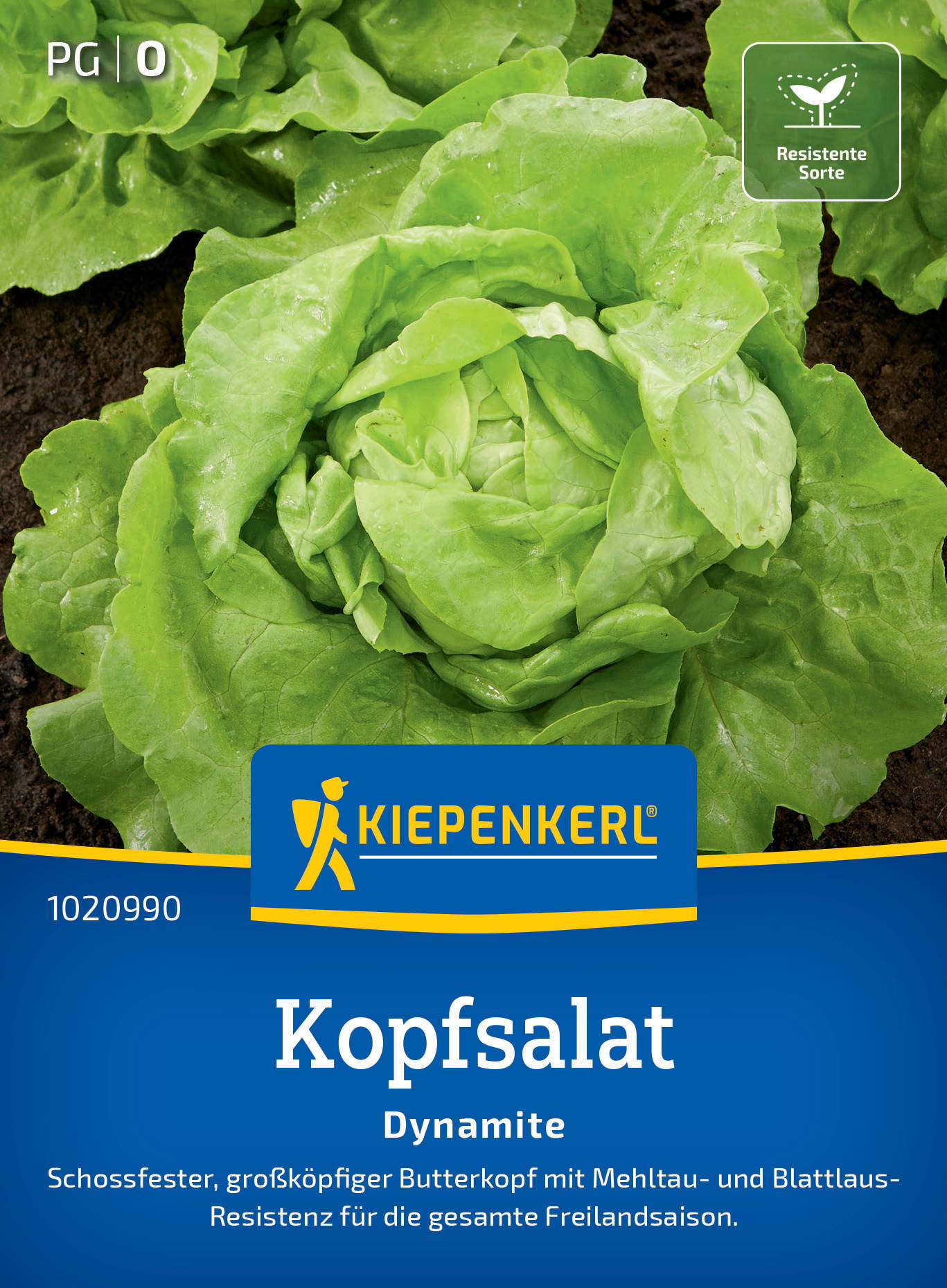 Kopf(!)salat auf dunkler Erde, mit gelbem und blauen Verpackungsdesign, Kiepenkerl Logo, Resistenzsymbol.