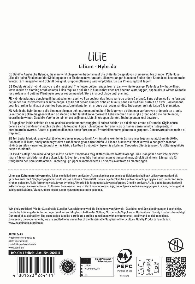 Beschreibungstext: Verschiedene Sprachen mit Informationen zur Lilie, Pflegehinweisen und Herstellerangaben.