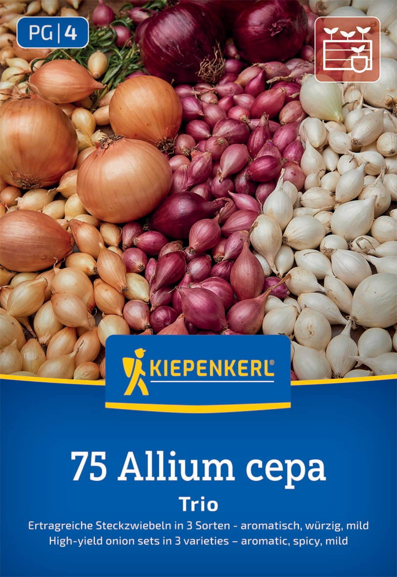 Bunte Zwiebeln in Rot, Weiß und Gelb, auf einer Verpackung mit Kiepenkerl-Logo.