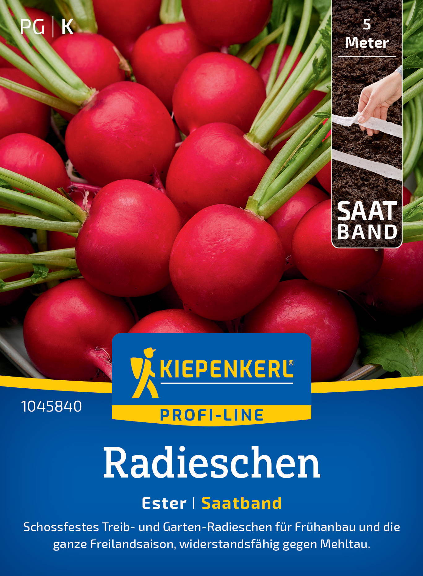 Radieschensamen Ester, Saatband