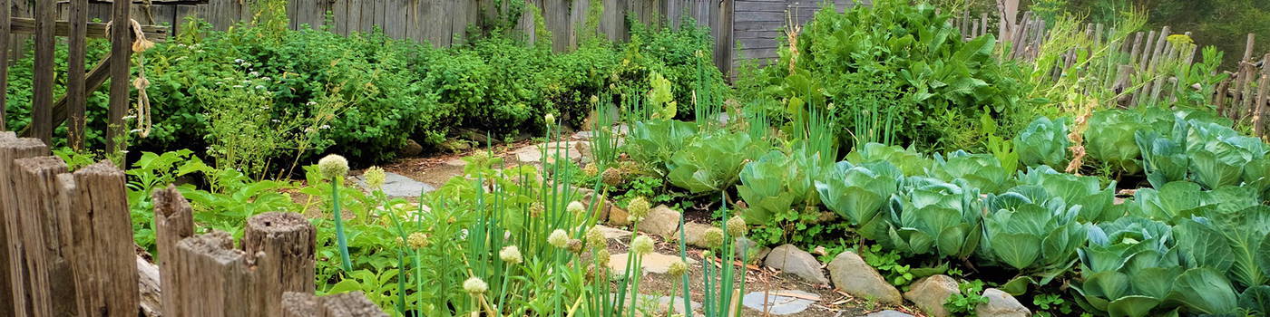 Garten mit Beeten, Gemüsepflanzen, Steinweg und Holzumfassung