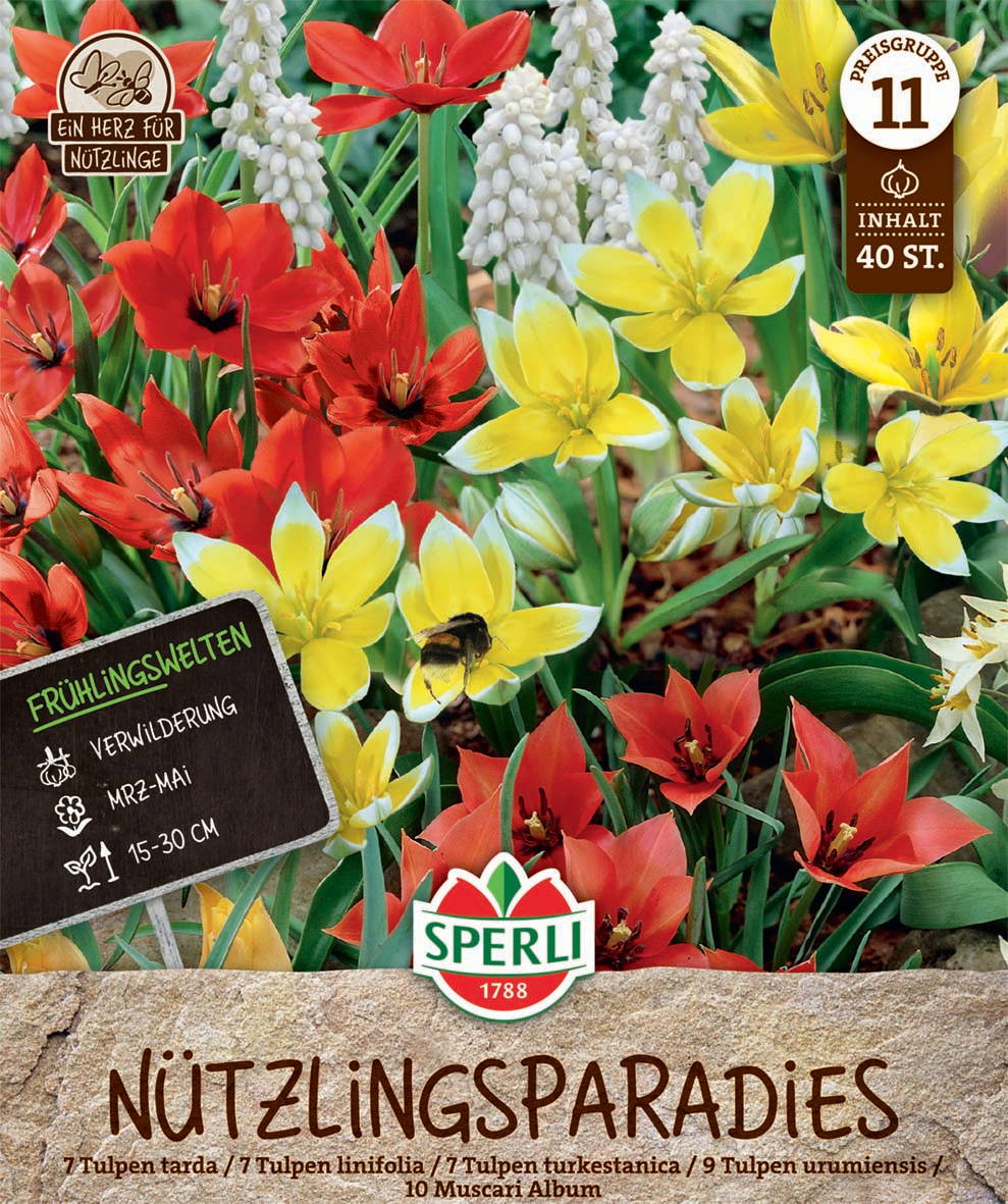Frühlingsgarten Nützlingsparadies