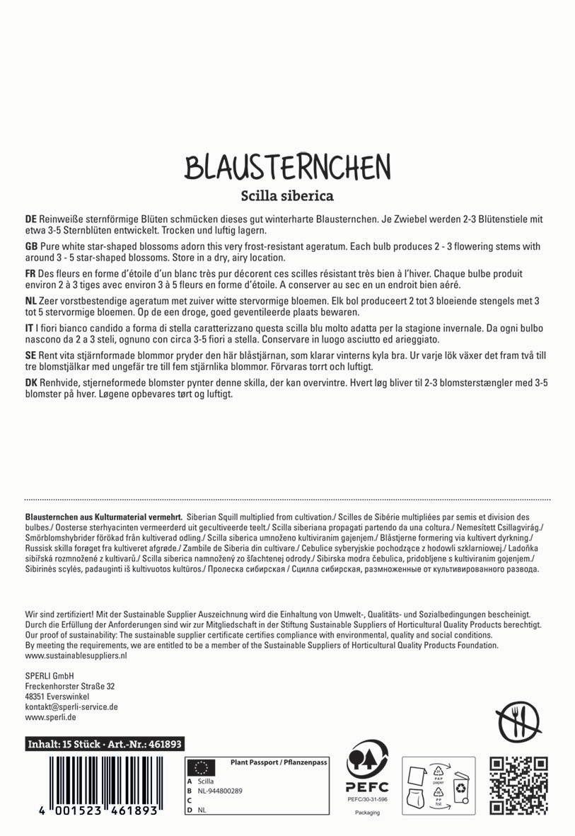 Siberian Squill Bulbs, beschriftet in mehreren Sprachen, in einem Verpackungskarton.