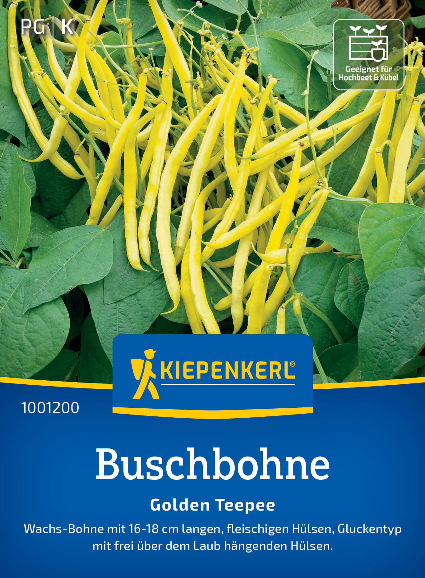 Buschbohnensamen Golden Teepee