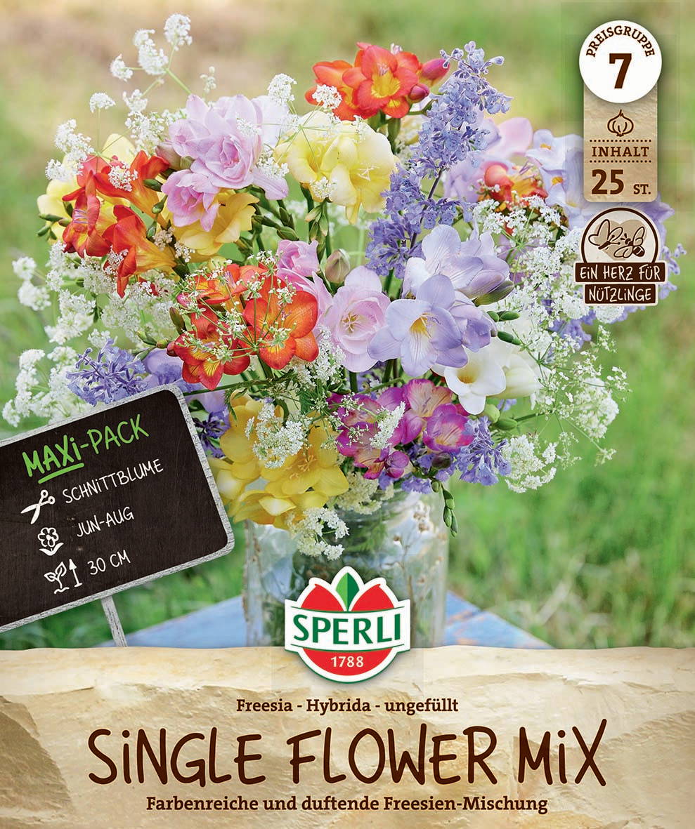 Bunter Blumenstrauß mit Freesien und anderen Blumen in einer Glaskaraffe auf grüner Wiese.