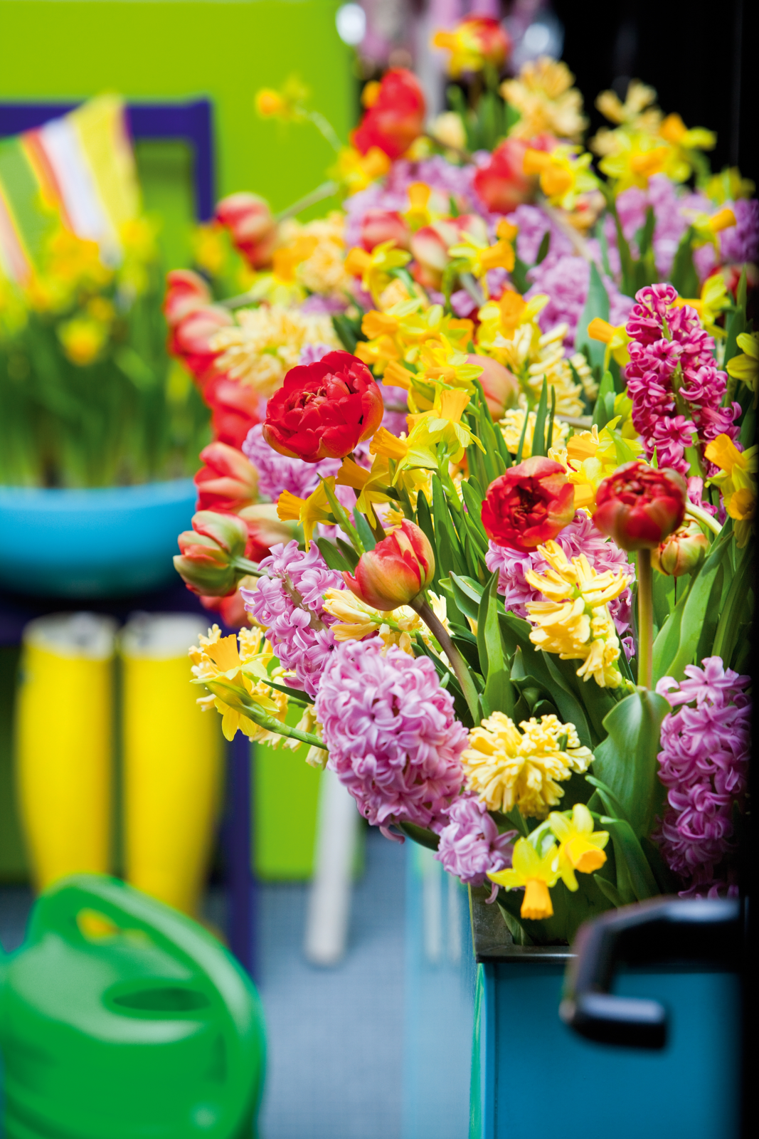 Bunte Frühlingsblumen wie Tulpen, Narzissen und Hyazinthen in einem Blumenladen mit grünem Hintergrund