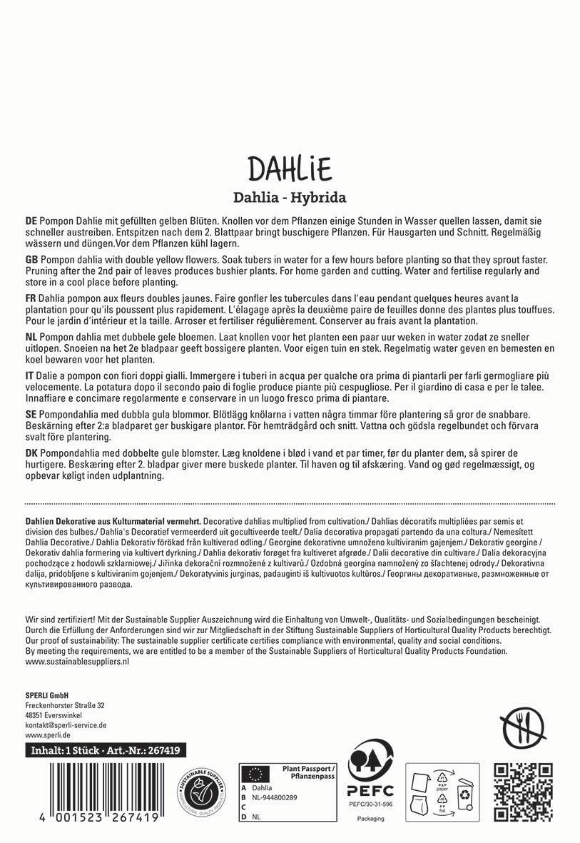 Text auf der Verpackung mit Beschreibung der Dahlie und Pflegehinweisen in mehreren Sprachen.