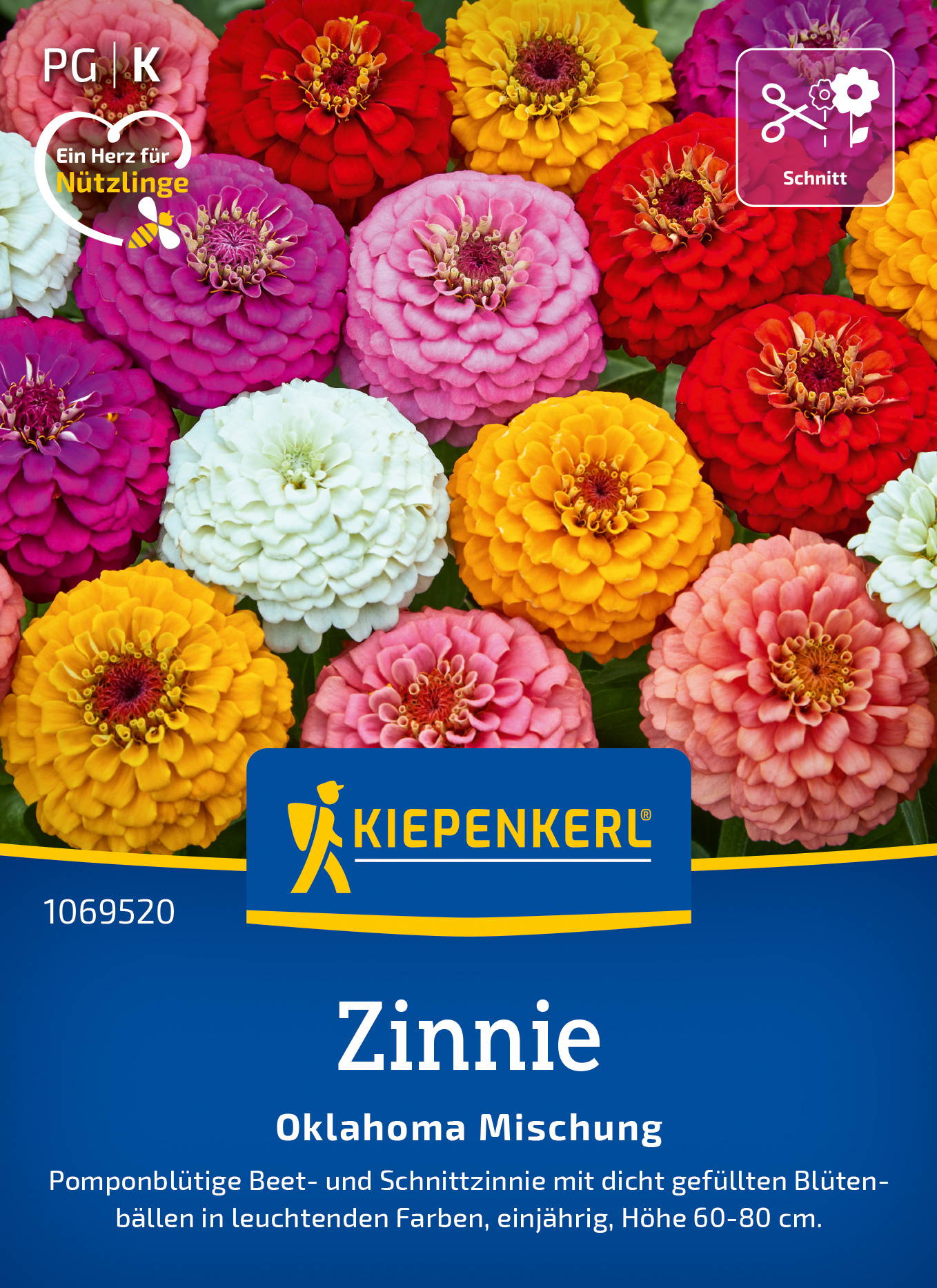 Zinniensamen Oklahoma Mischung