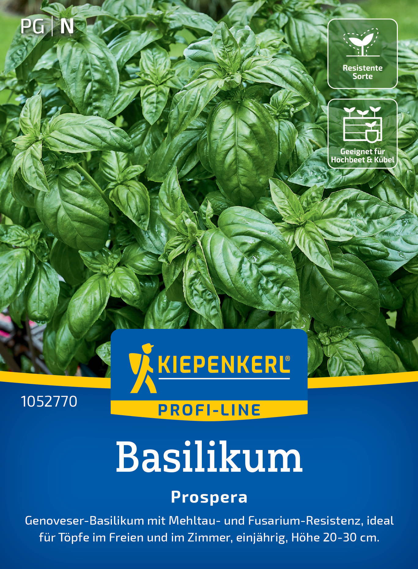 Grüner Basilikum mit großen, glänzenden Blättern auf einer Packung mit blauer und gelber Gestaltung, mit Text und Symbolen.