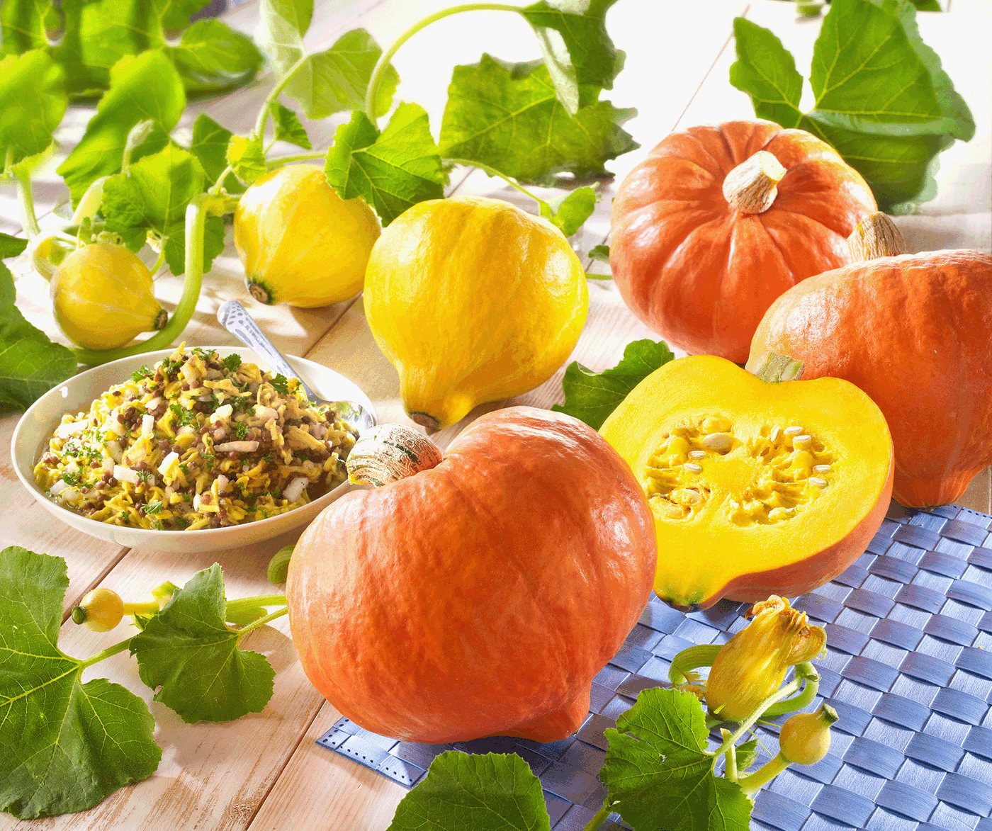 Bunte Kürbisse, grüne Blätter, frisches Kürbiskernsalat auf weißem Holz.