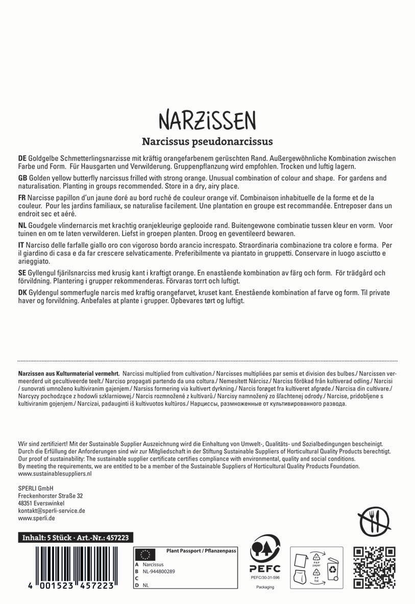 Narzissen mit orangefarbenem Rand, gruppenweise, für Garten und Vermehrung, trocken lagern.