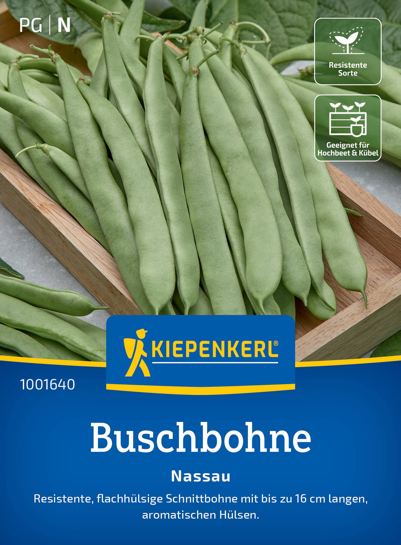 Grüne Buschbohnen mit länglichen, flachen Hülsen auf Holzregal, Pflanzensymbol und Text in deutscher Sprache.