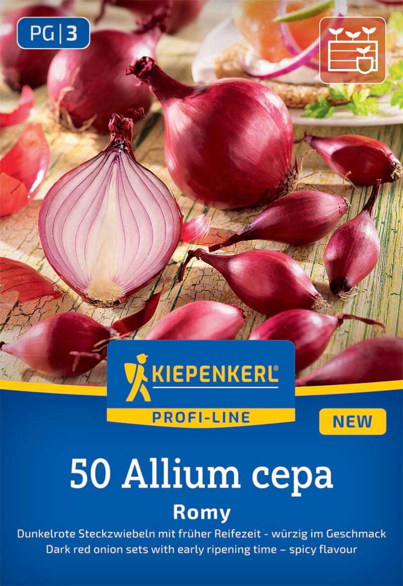 Rote Zwiebeln, halbiert, auf einem Holztisch mit weiteren Zwiebeln und einer gebutterten Brotscheibe im Hintergrund.