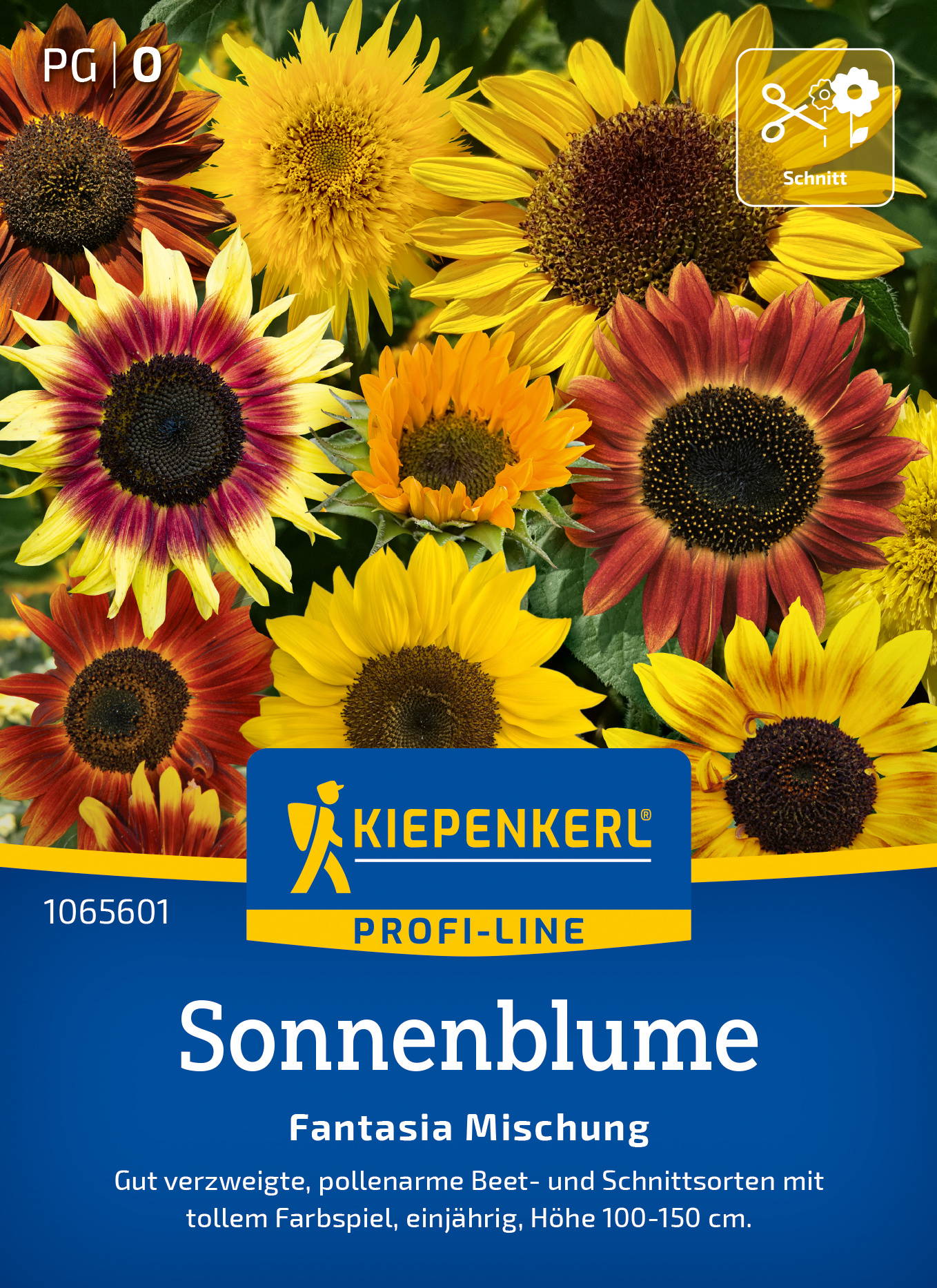 Bunte Sonnenblumen mit gelben, roten und orangen Blüten vor einem grünen Blatt Hintergrund.
