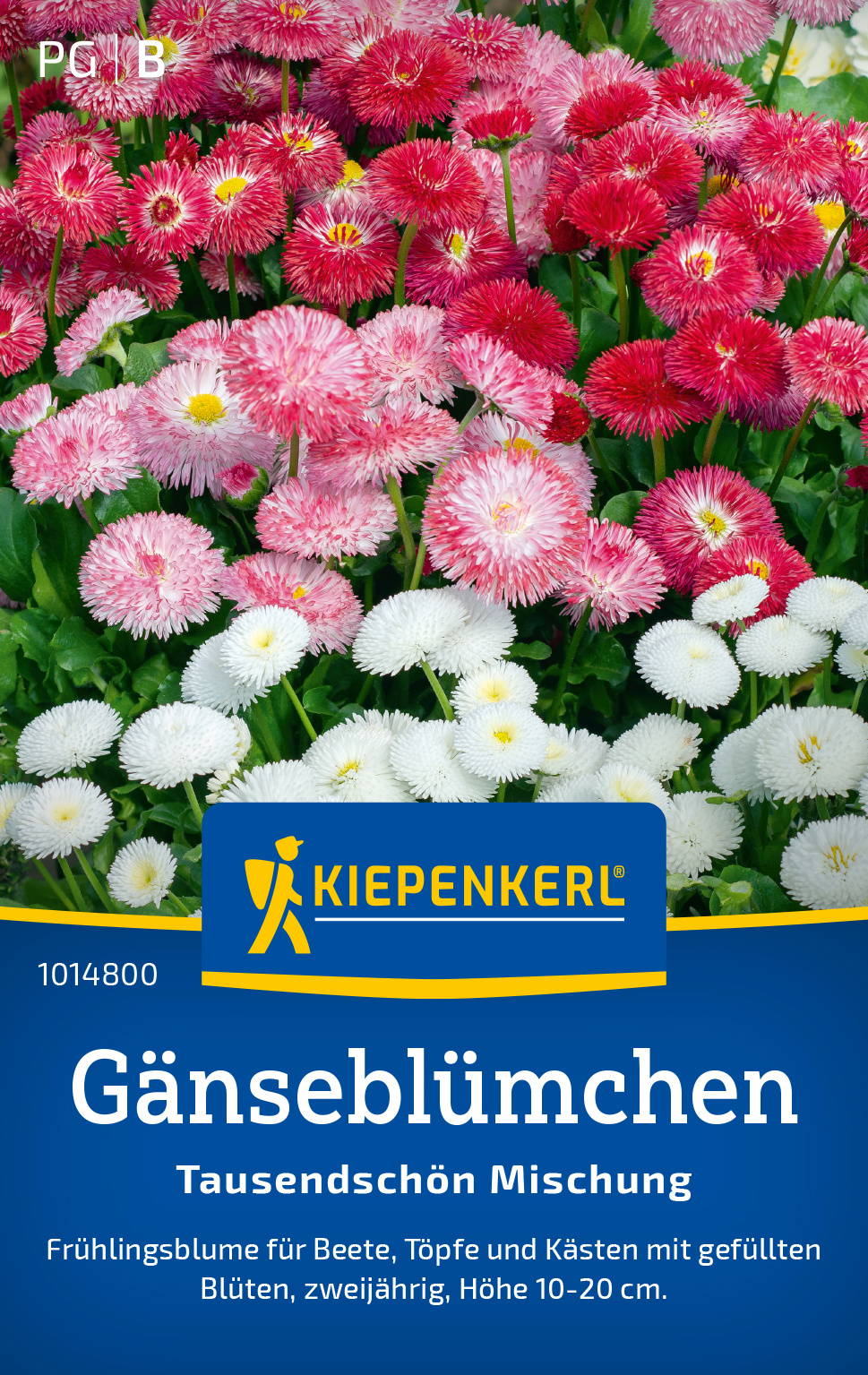 Gänseblümchensamen Tausendschön Mischung