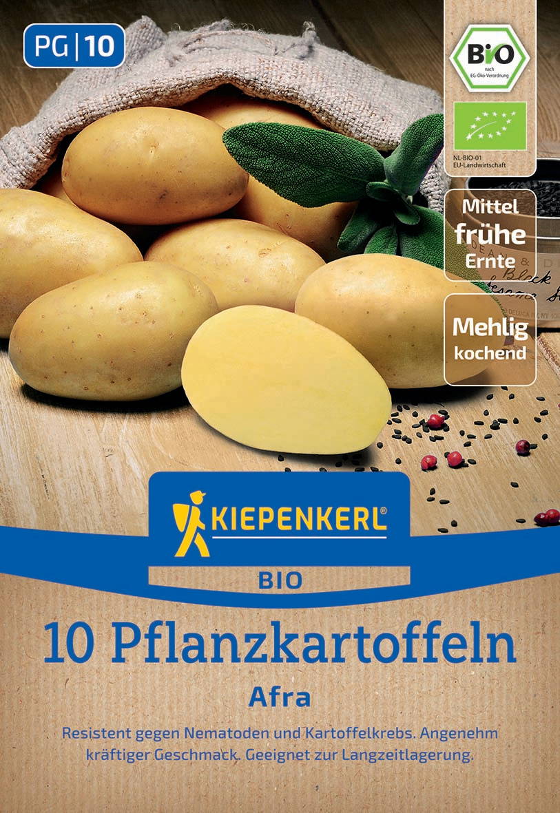 Zehn gelbe Bio-Pflanzkartoffeln liegen auf Holz, daneben schwarze Pfefferkörner und eine grüne Pflanzenspitze.