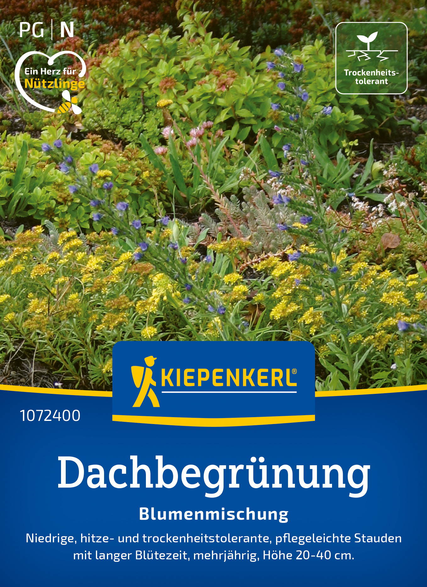 Blumensamen-Mischung Dachbegrünung & Trockenrasen