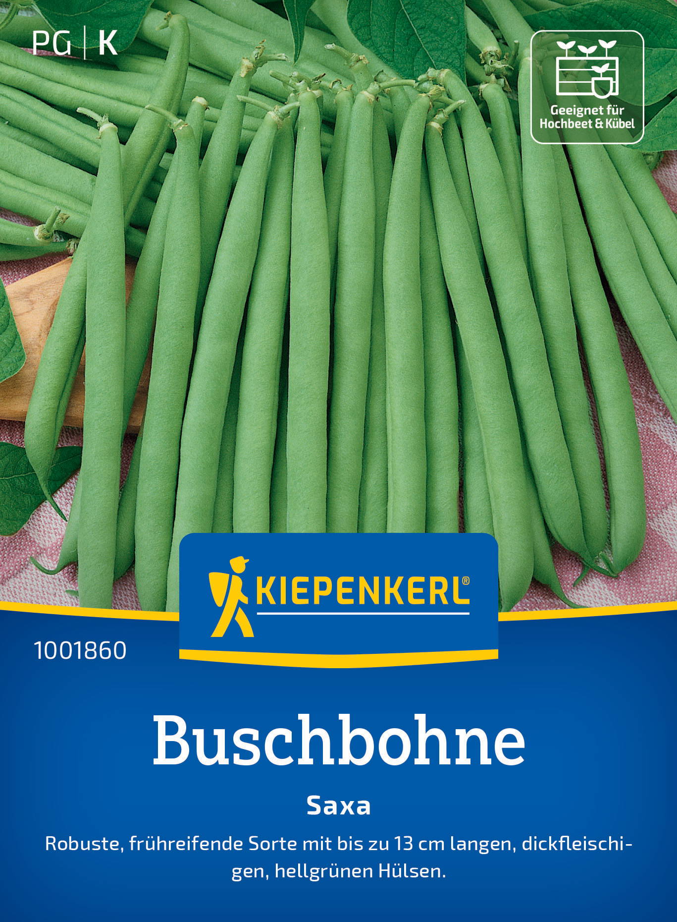 Buschbohnensamen Saxa