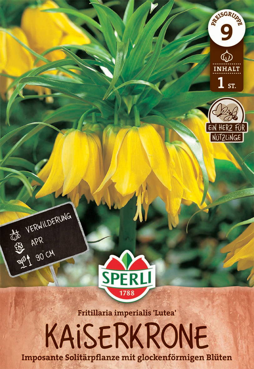 Kaiserkrone Lutea