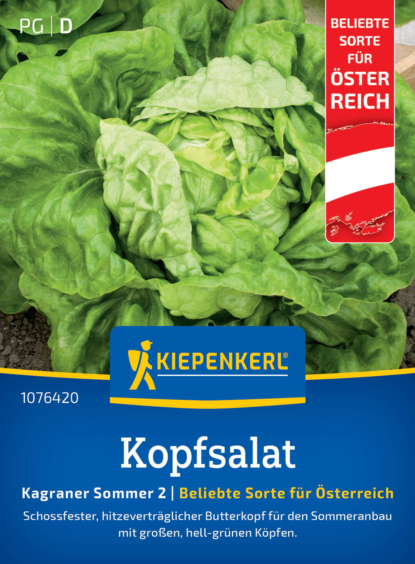 Kopfsalat wächst im Boden, große hellgrüne Köpfe, auf Verpackung abgebildet.