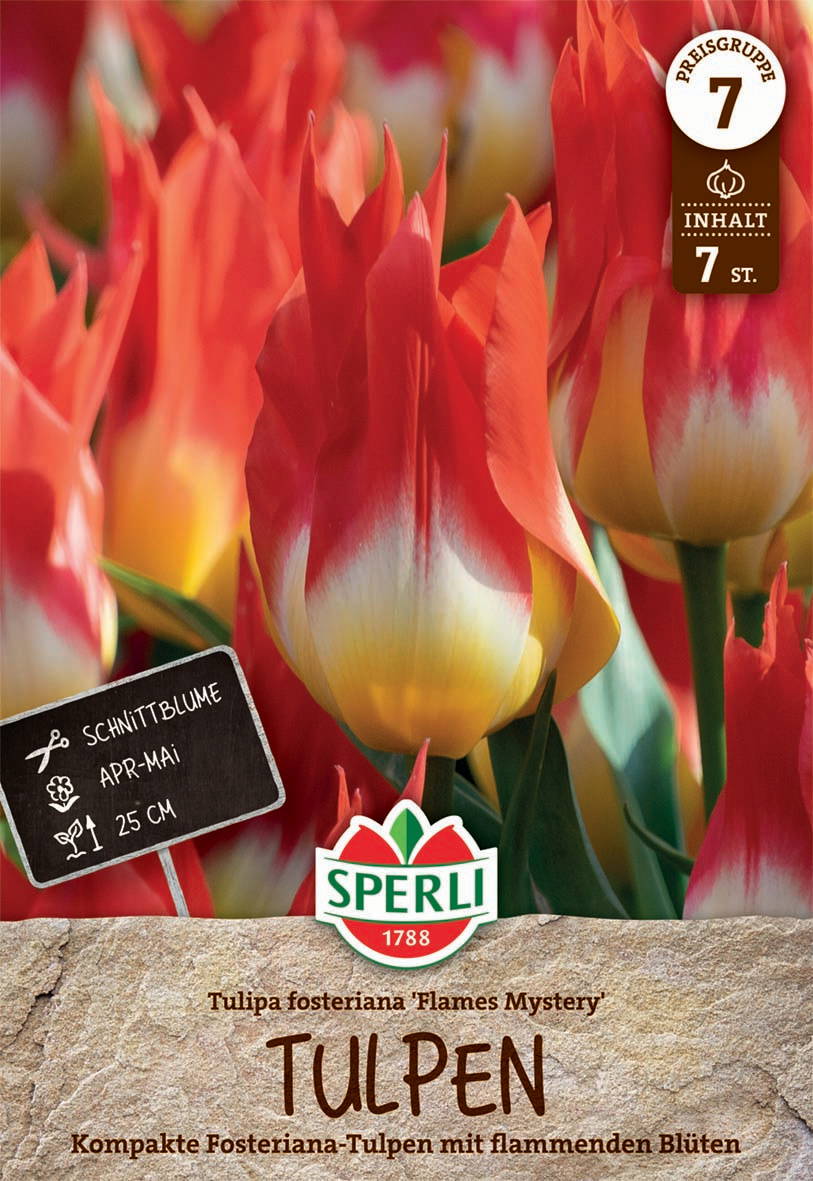 Bunte Tulpen in Rot, Gelb und Weiß, mit Informationen zu Sorte, Blütezeit und Größe.