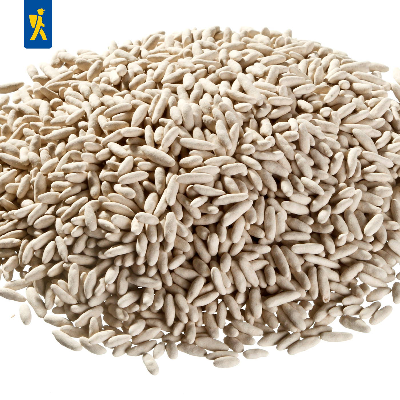 Haufen weißer Sesamkörner auf weißem Hintergrund.