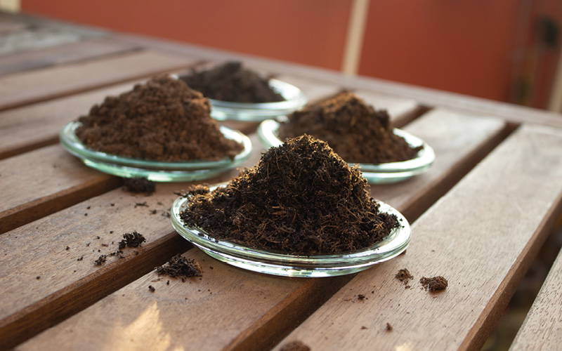 Drei Gläser mit dunkler Erde auf einer Holzbank, Erde teilweise verteilt.