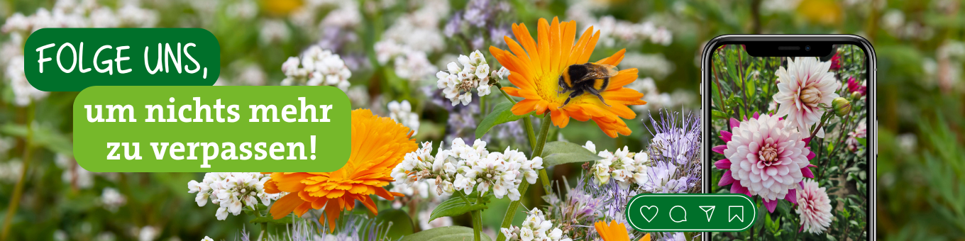 Bunte Blumen im Garten mit einem Smartphone und einem Bienenkorb am Blütenstand, Text in grünen Sprechblasen.