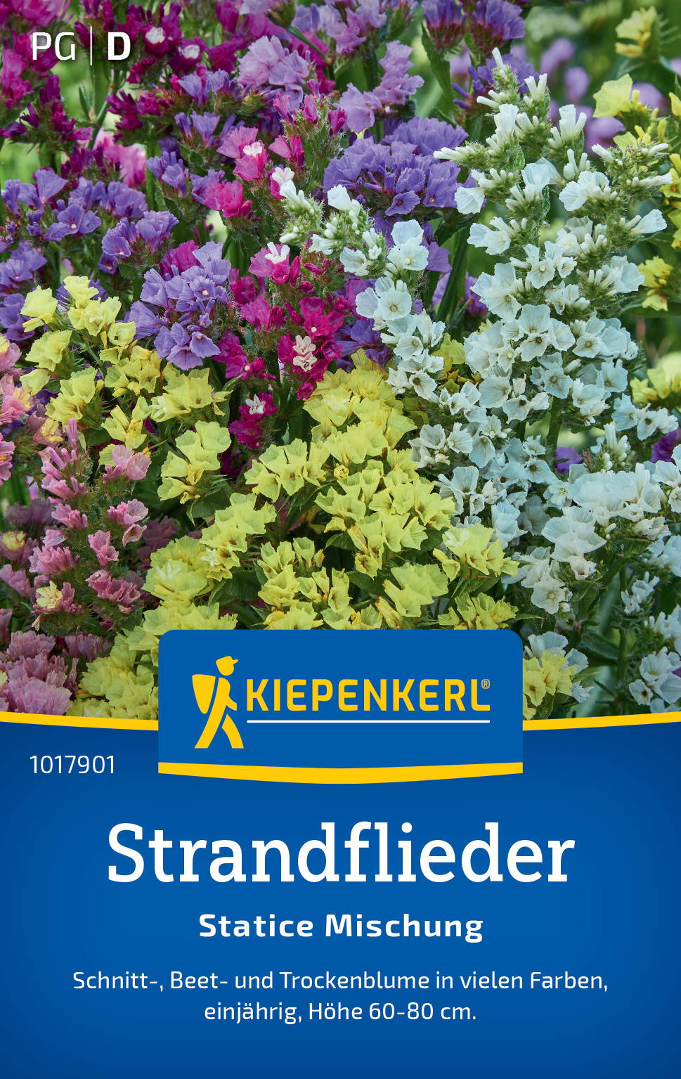 Bunte Schnittblumen in verschiedenen Farben, hauptsächlich Gelb, Weiß, Pink, Lila, in einer Blumenpackung.