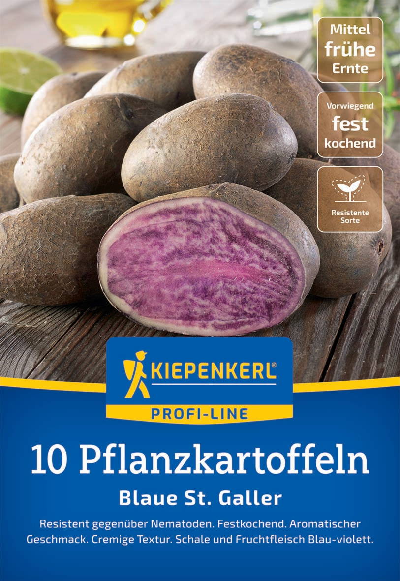 Haufen blaue St. Galler Kartoffeln, eine halbe violette Kartoffel, auf Holzbrett, im Hintergrund Wasser und Zitronen.