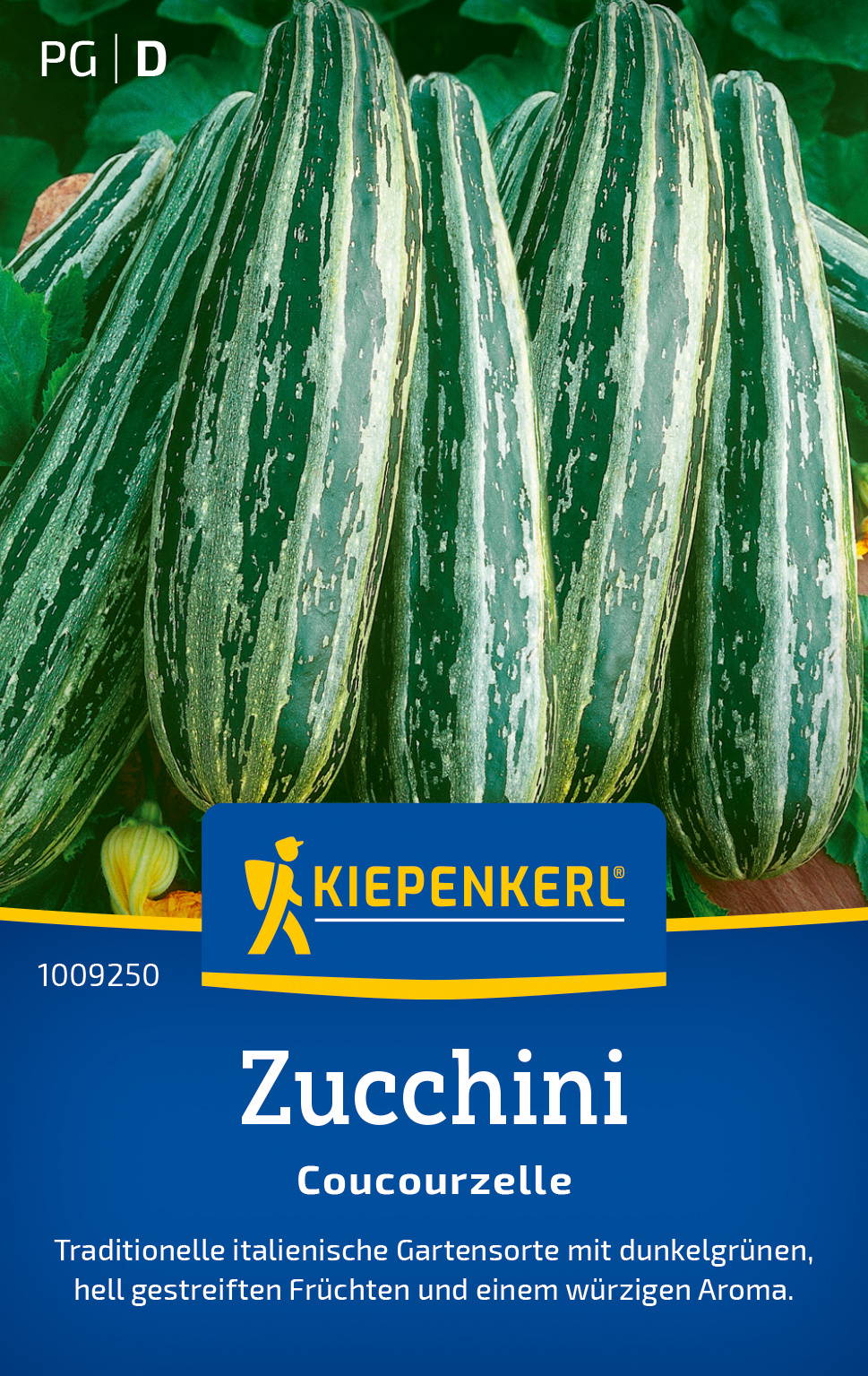 Zucchinisamen Coucourzelle