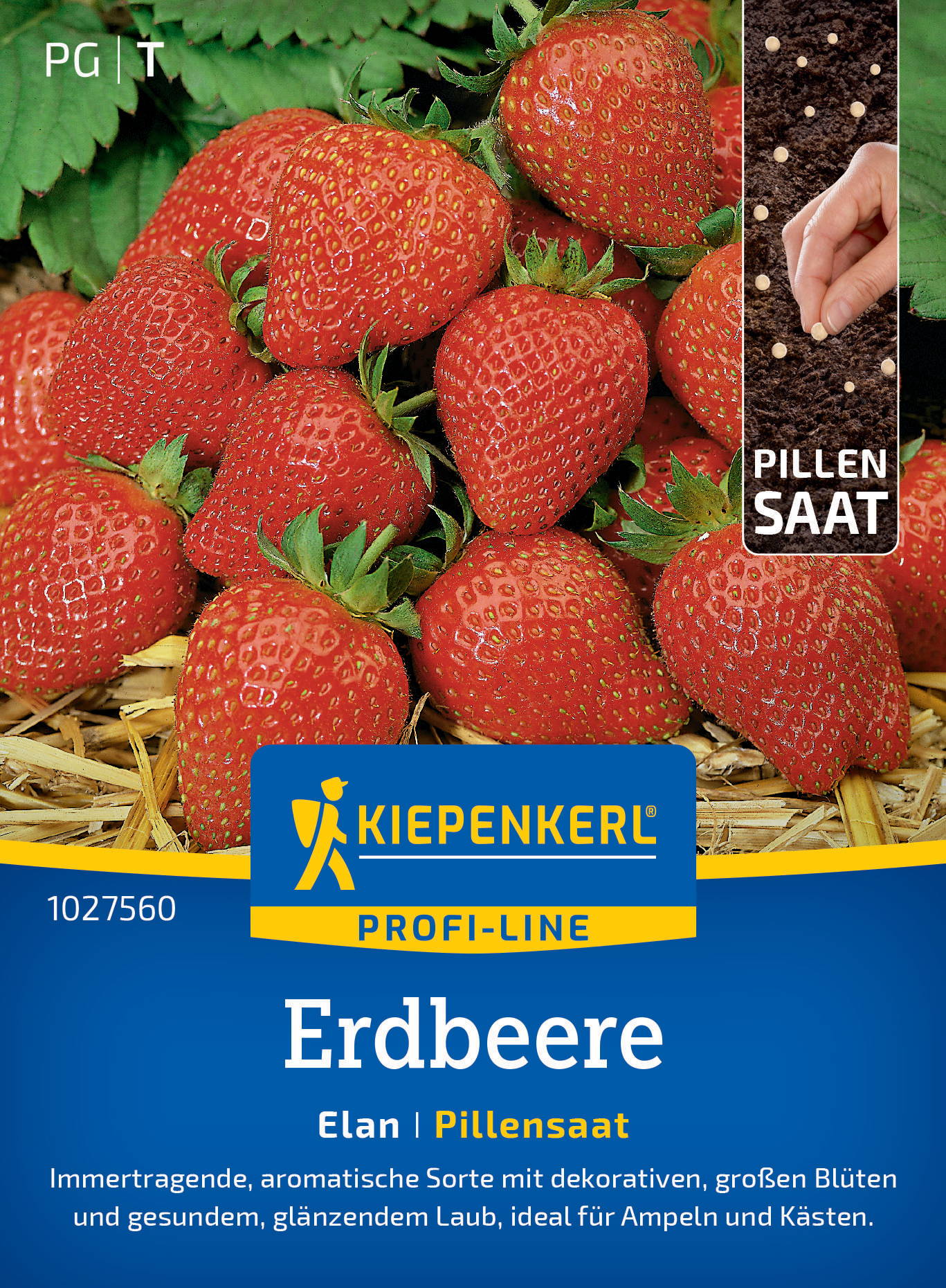 Erdbeersamen Elan, F1, Pillensaat