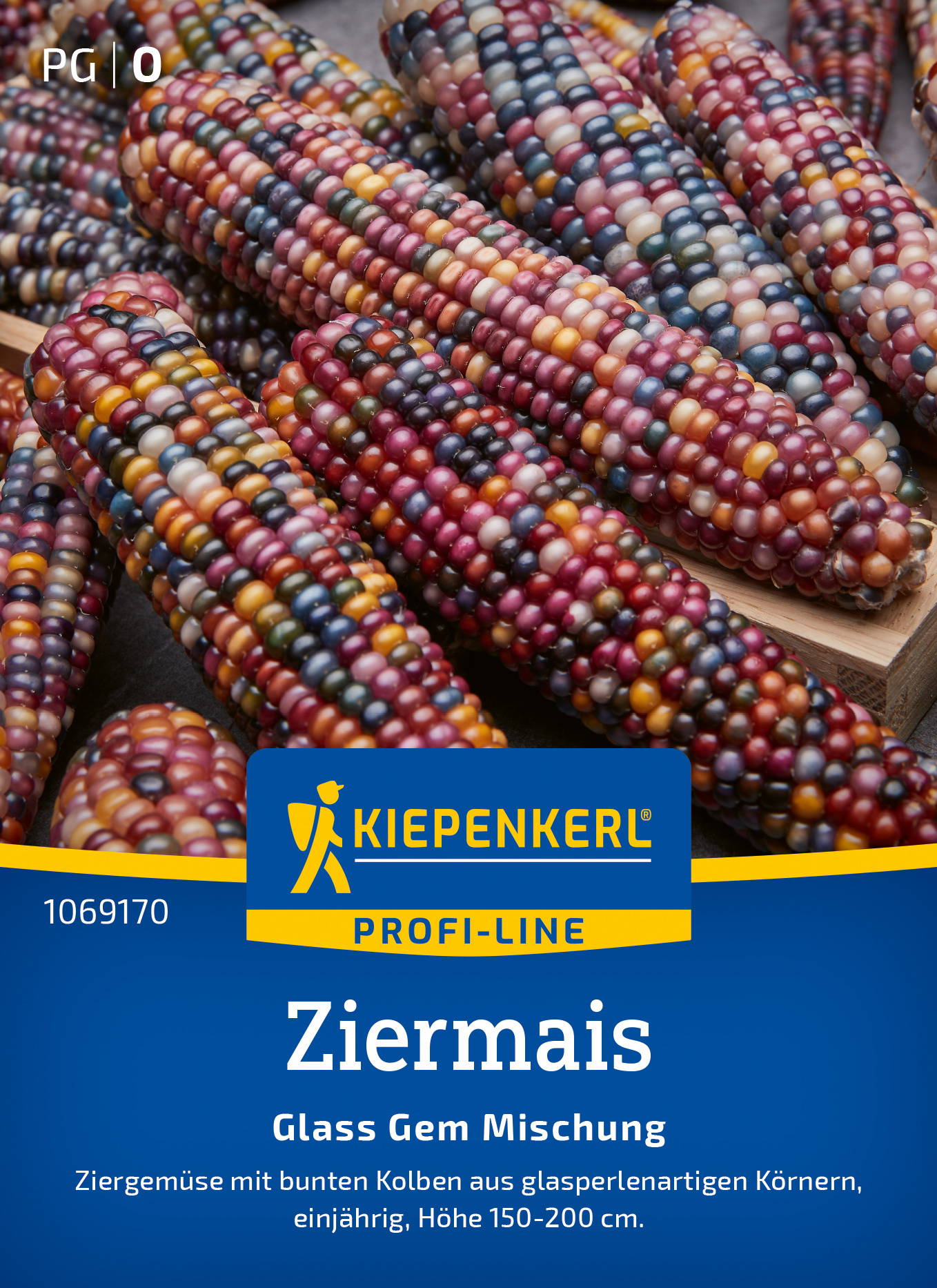 Bunte Ziermais in verschiedenen Farben auf einem Holzbrett, Nahaufnahme.