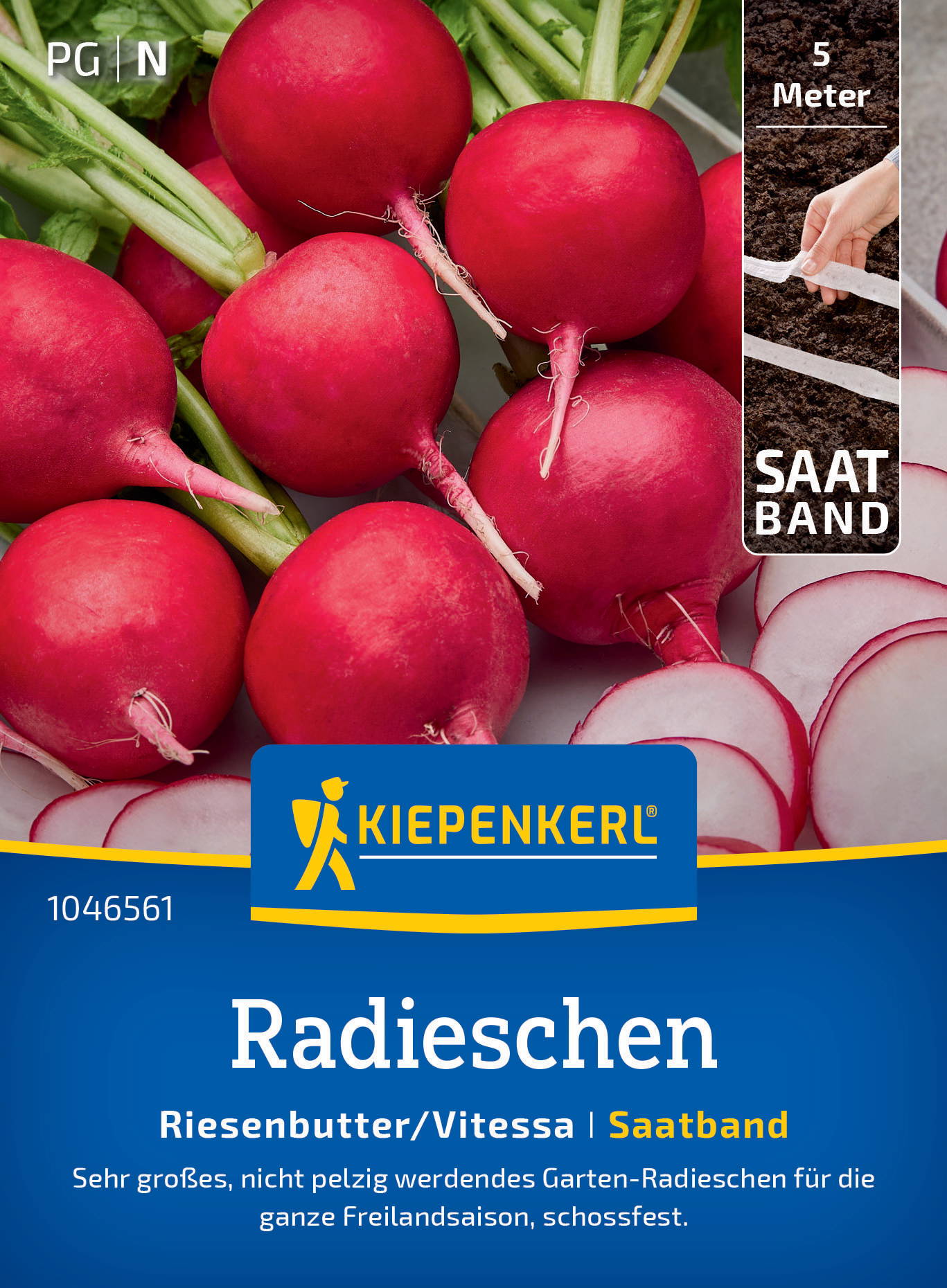 Rote Radieschen mit grünen Stängeln und einer Hand, die eine Bandermessung durchführt.