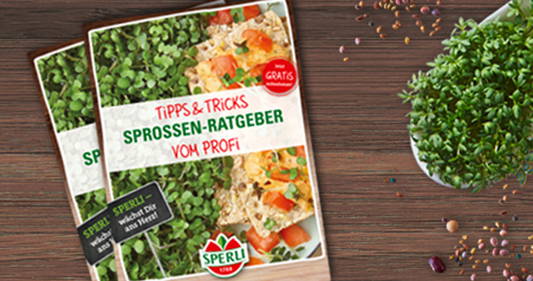 Zwei hummusbasierte Tipps und Tricks zur Auswahl von Spargel, umgeben von Pfefferkörnern und Kräuter auf Holz.