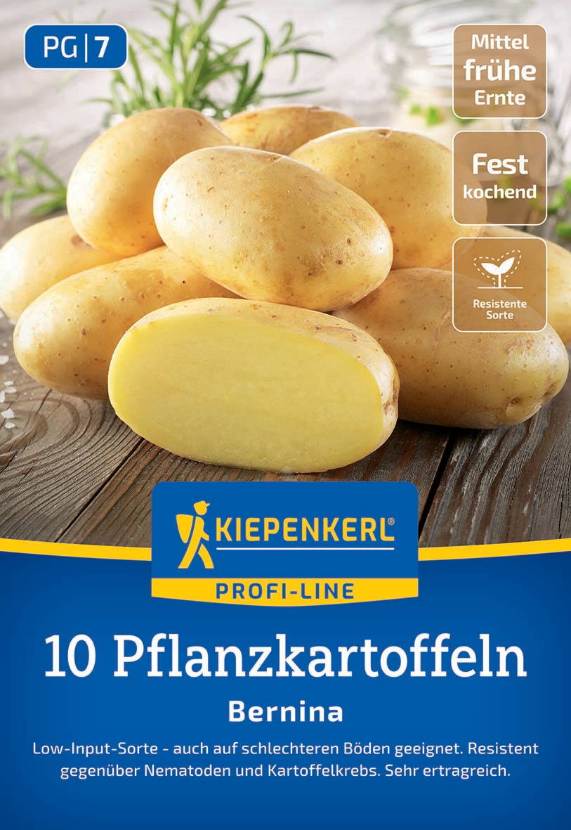 Zwei geschälte und mehrere ungeschälte Kartoffeln auf einem Holzbrett, im Hintergrund Gewächs.