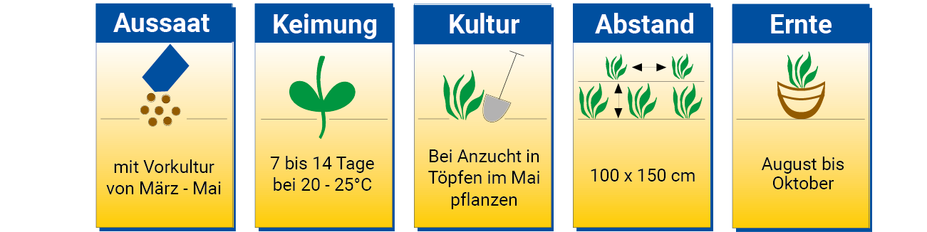 Pflanzenanbauschritte mit Bildern, Texten und Daten.