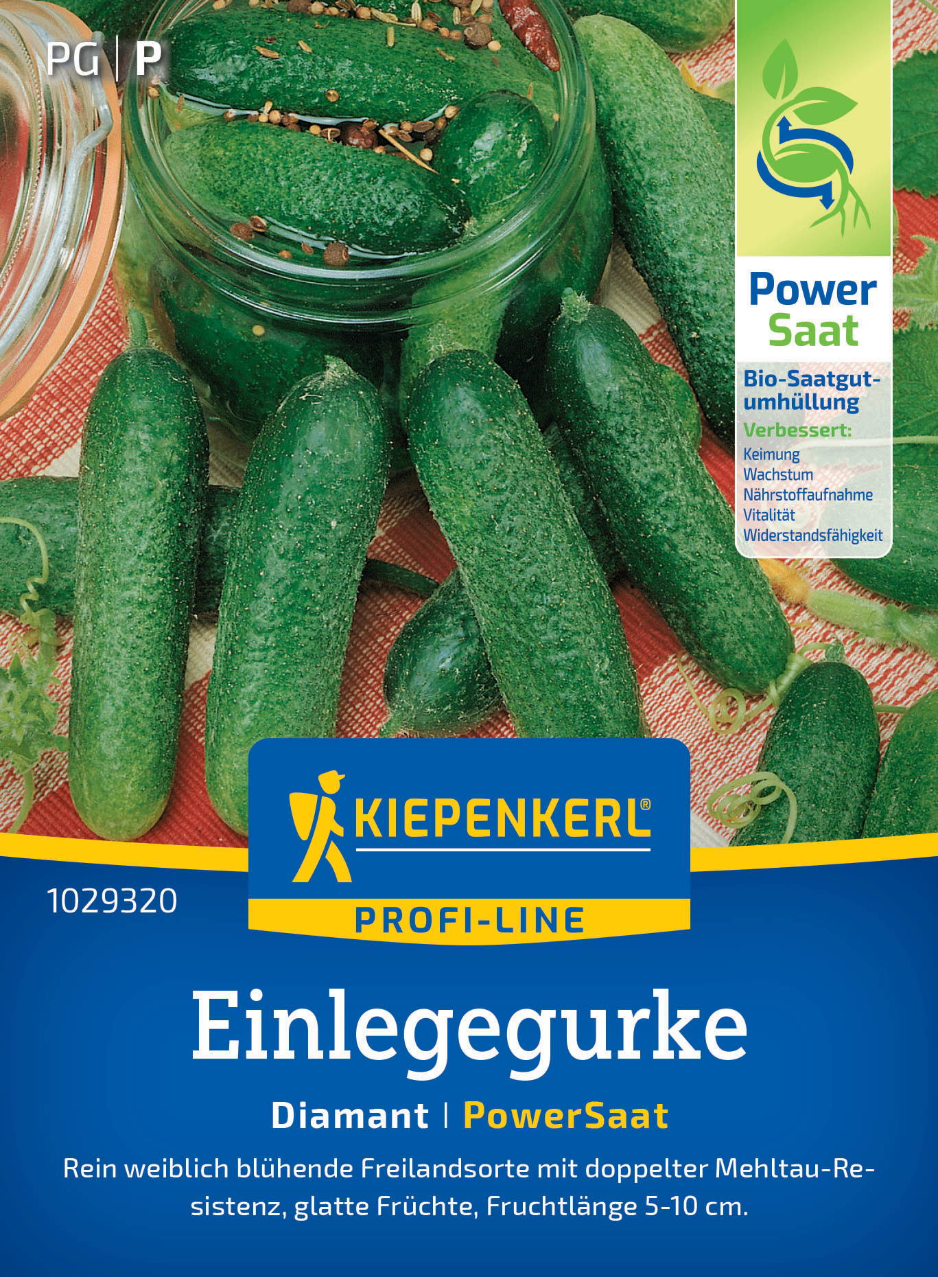 Gläser mit eingelegten Gurken, umgeben von Gurken und grünen Blättern auf buntem Stoff.