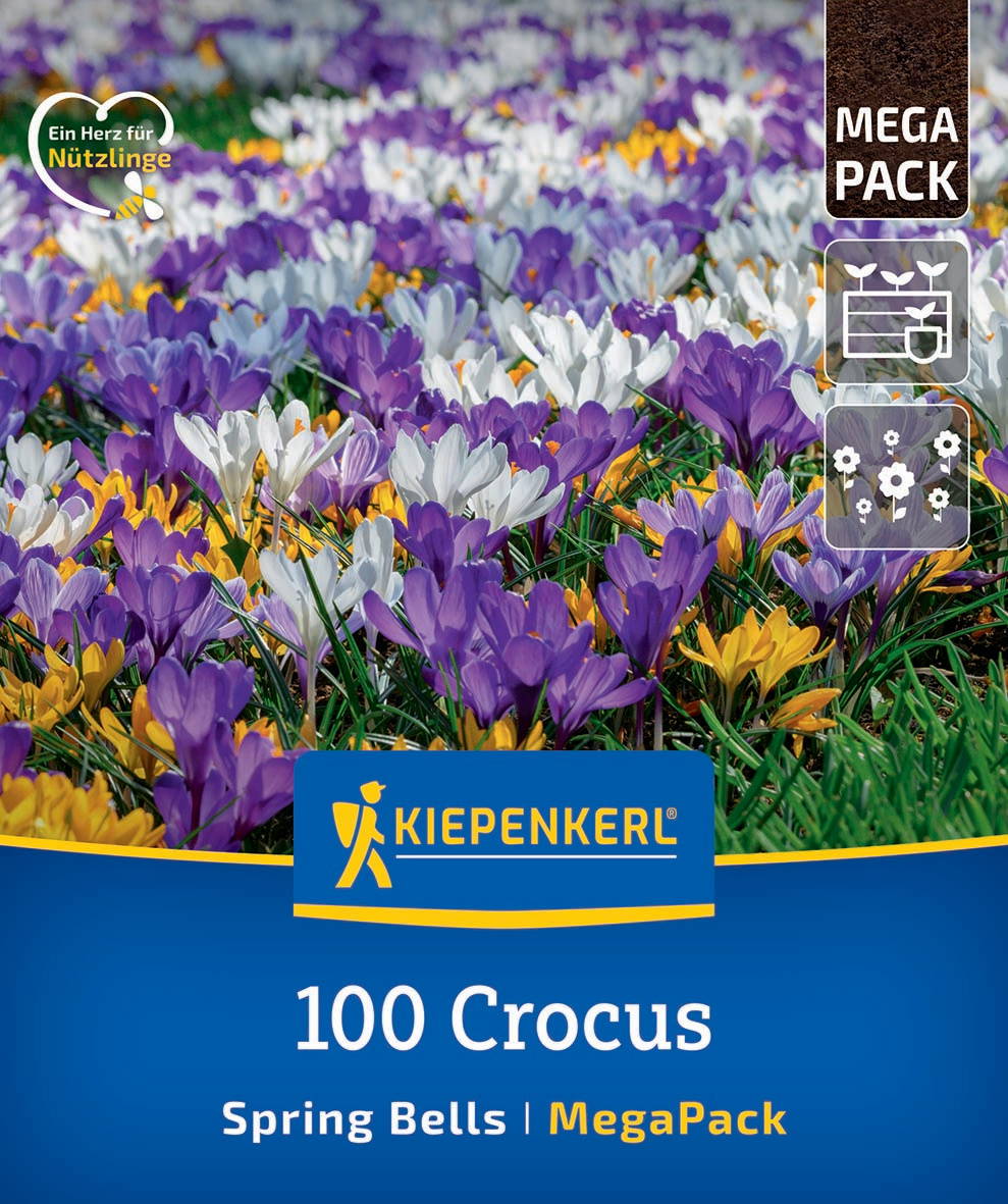 Mega-Pack Gartenkrokusse Mischung Spring Bells