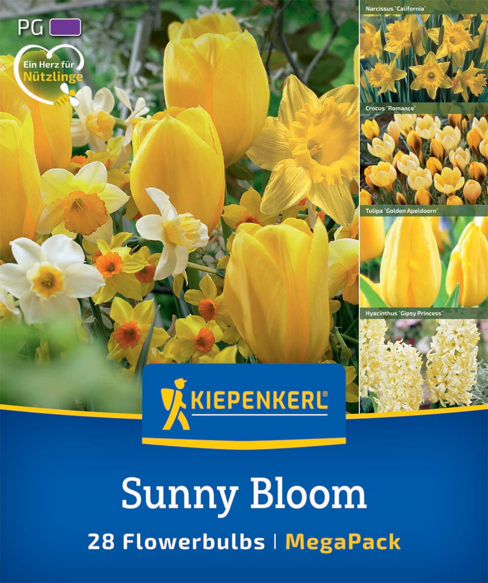 Verschiedene gelbe und weiße Frühlingsblumen, darunter Tulpen, Narzissen, Krokusse, Hyazinthen.